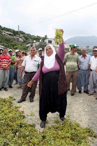 Üzüm Üreticileri Yere Döktükleri Ürünlerini Çiğneyerek Eylem Yaptı