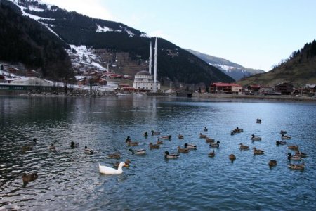 Uzungöl'de Kartpostallık Manzaralar Ziyaretçilerini Bekliyor