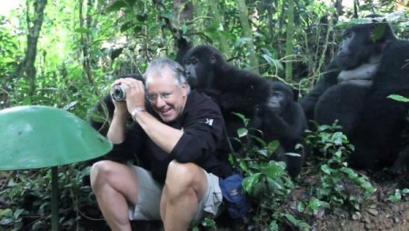 Vahşi Gorilden Turiste ‘hoşgeldin’ Dokunuşu