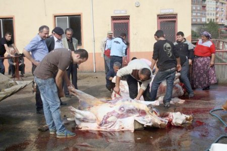 Vakfıkebirliler rahat kurban kesti
