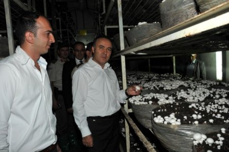 Vali Altıparmak Korkuteli’ni gezdi