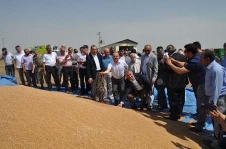 Vali Aydın, biçerdöverin başına geçti, Hasat Bayramı'nın startını verdi