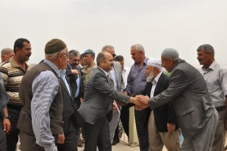 Vali Aydın, biçerdöverin başına geçti, Hasat Bayramı'nın startını verdi