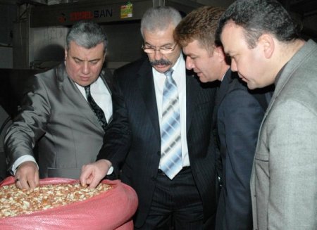 Vali Cerrah Fıstık Fabrikasında İncelemelerde Bulundu