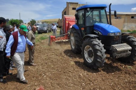 Vali Çolak:siirt'in Gözbebeği Bağlara Ve Bahçelere Sahip Çıkmak Hepimizin Görevi