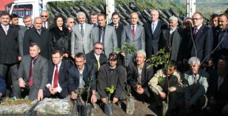 Vali Harput, Keles'te Çiftçilere Fidan Desteği Sağladı (2)