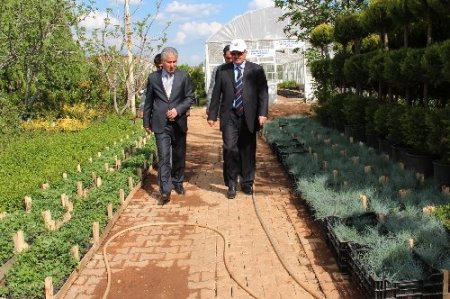 Vali Kocatepe belediye serasını inceledi