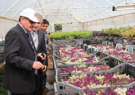 Vali Kocatepe belediye serasını inceledi