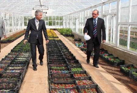 Vali Kocatepe belediye serasını inceledi