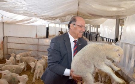 Vali Kolat: Keskin, proje ve çalışmalarla büyüyecek