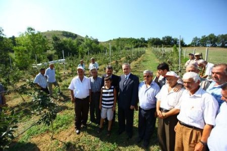 Vali Küçük: Bartın, Meyvecilikte Bölgenin En Önemli Üretim Merkezi Haline Gelecek