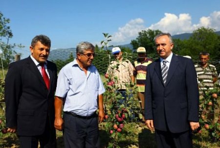 Vali Küçük: Bartın, Meyvecilikte Bölgenin En Önemli Üretim Merkezi Haline Gelecek