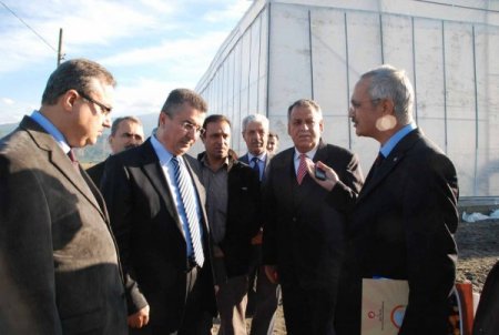 Vali Lekesiz, muz seralarını gezdi