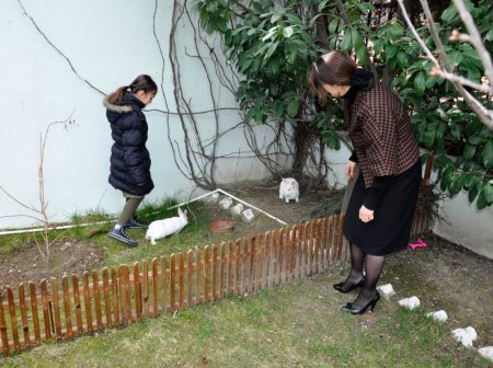 Vali Öz, adli sicil kaydını gösterdi koruyucu aile oldu