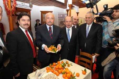 Vali Şahin: Muğla dünyanın en ilgi çekici şehirlerinden biri