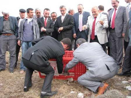 Vali Şentürk: Tabiatı Bozacak Şeylerden Kaçının
