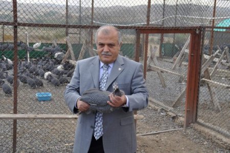 Vali Şentürk: Yozgat’ta Üretilen Beç Tavuğu Kene Savar Olarak Kullanılacak
