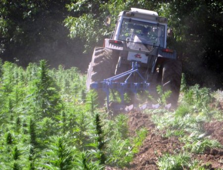 Vali Toprak: Terör Örgütü, Uyuşturucu Tarlalarını Bombalarla Koruyor