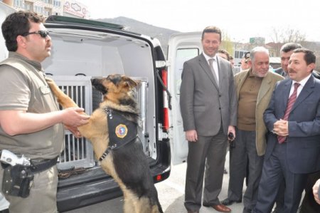 Vali Uyuşturucu Sakladı, Narkotik Köpeği Paskal 2 Dakikada Buldu