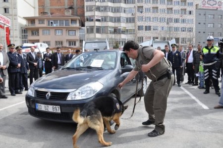 Vali Uyuşturucu Sakladı, Narkotik Köpeği Paskal 2 Dakikada Buldu
