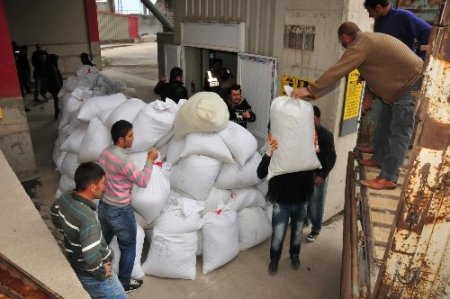 Van'da 8 ton uyuşturucu imha edildi