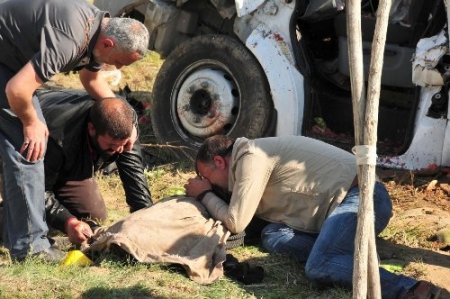 Van'da feci trafik kazası: 6 ölü