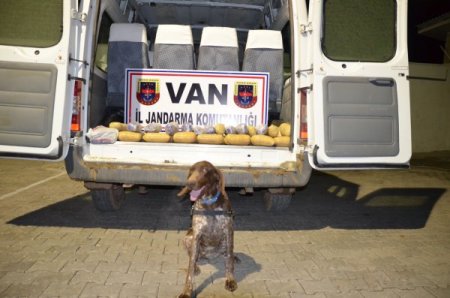 Van'da Uyuşturucu Operasyonu