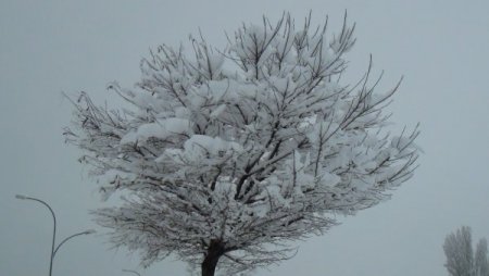 Vangölü sahilleri karla daha bir güzel