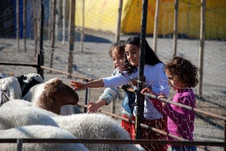 Vatandaş Fiyattan Tedirgin Kurban Pazarında Yaprak Kımıldamıyor