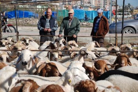 Vatandaş Fiyattan Tedirgin Kurban Pazarında Yaprak Kımıldamıyor