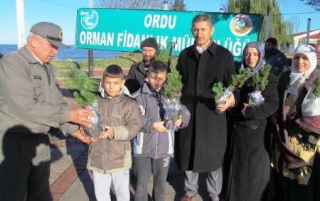 Vatandaşlara ücretsiz çam ağacı fidanı dağıtıldı