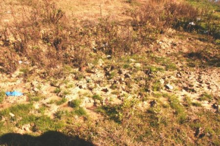 Vatandaştan pis su tepkisi