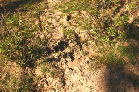 Vatandaştan pis su tepkisi