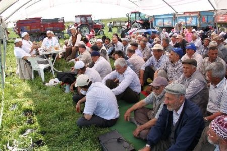 Verim kaybı tehlikesi çiftçiyi yağmur duasına çıkardı