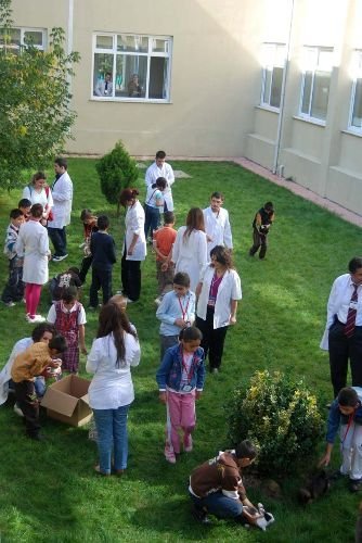 Veteriner Fakültesi Çocuklara Hayvan Sevgisini Aşılıyor