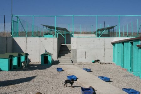 Vezirköprü'ye 5 yıldızlı hayvan barınağı