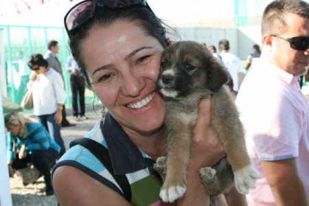 Vezirköprü'ye 5 yıldızlı hayvan barınağı