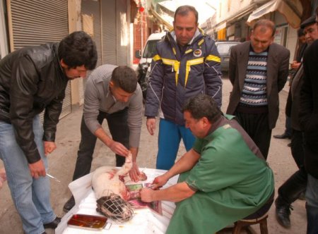 Vicdanlı vatandaş, minibüsün çarptığı köpeği ameliyat ettirdi
