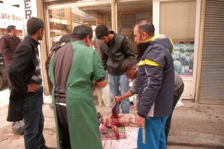 Vicdanlı vatandaş, minibüsün çarptığı köpeği ameliyat ettirdi