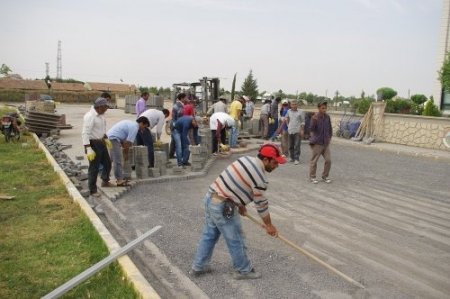 Viranşehir Belediyesi, 400 bin metrekare kilitli taş döşeyecek