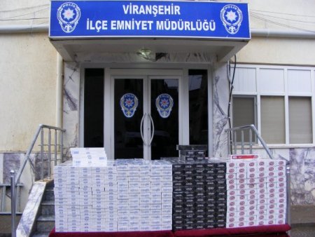 Viranşehir’de 20 bin paket kaçak sigara ele geçirildi