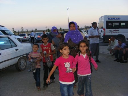 Viranşehir’de 300 öğrenci yedikleri yemekten zehirlendi