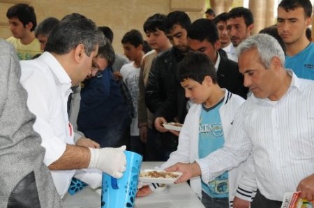 Viranşehir'de bin 500 kişiye tirit yemeği dağıtıldı