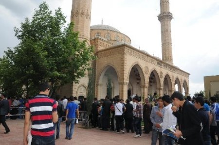 Viranşehir'de bin 500 kişiye tirit yemeği dağıtıldı