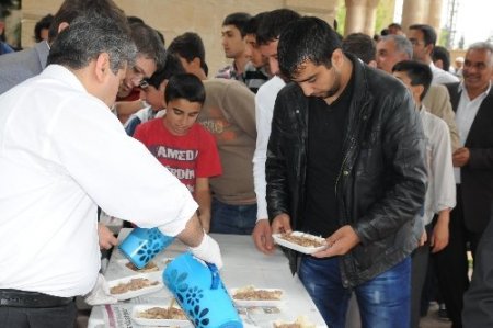 Viranşehir'de bin 500 kişiye tirit yemeği dağıtıldı