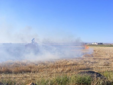 Viranşehir’de Buğday Ekili Tarla Kül Oldu