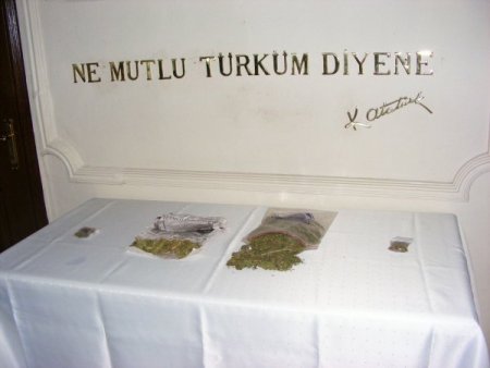 Viranşehir'de uyuşturucu operasyonu yapıldı