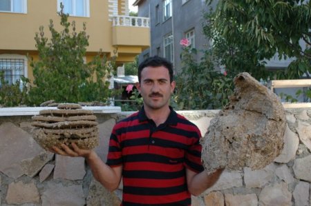 Yaban arıların 10 katlı yuvası ilgi odağı oldu