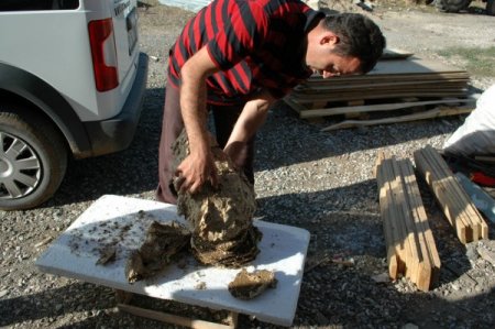 Yaban arıların 10 katlı yuvası ilgi odağı oldu