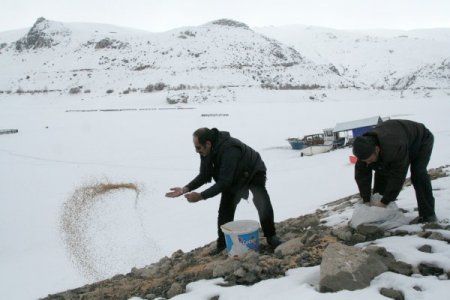 Yaban Hayatı İçin Yem Bırakıldı